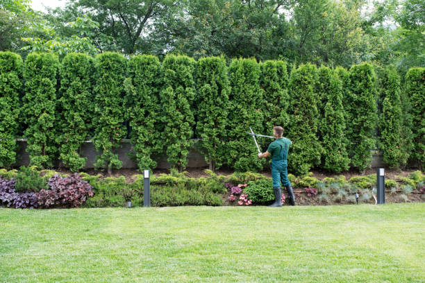 Best Lawn Irrigation Installation and Maintenance  in Meridian Hills, IN